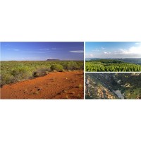 礦山修復技術 礦山修復與治理河南景繡理想之選