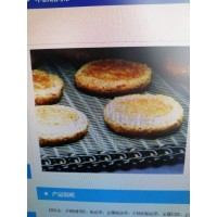 專業(yè)生產網帶  網鏈  輸送設備  烘干設備