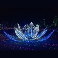 2019都市魔幻燈光節(jié)廠(chǎng)家燈光藝術(shù)節(jié)出租