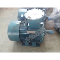 YBK2三相異步電機