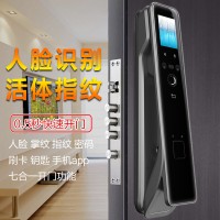 人臉識別指紋鎖,防盜門指紋鎖,全自動智能鎖,指紋密碼鎖