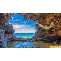 真相揭露！科創宏融資融券不正規！揭開老師指導虧得原因！