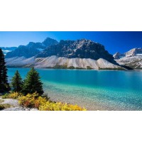 真相！貴州中進大宗不正規(guī)！揭開老師指導(dǎo)虧得原因！