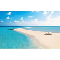 真相！海通富國際不正規(guī)！揭開老師指導(dǎo)虧得原因！