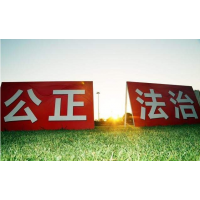 解密！股略通正規(guī)嗎？揭開(kāi)老師指導(dǎo)虧的原因！