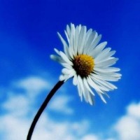 警惕紅房子財(cái)經(jīng)聯(lián)合李錦年梁逸峰宋乾坑我?guī)资f(wàn)！本人親身經(jīng)歷