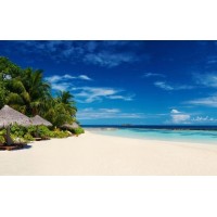 鄭州棉花交易所不正規內幕曝光虧損真相揭露,希望大家不要被騙了