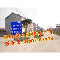 室內室外彩繪墻體、湖北3D彩繪制作