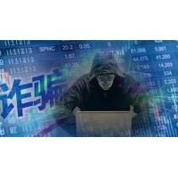 VIPEOR沃鵬國際虧損真相揭露!股指期貨投資P局曝光!