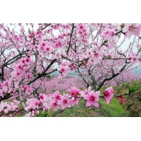 真相揭露蘭德資本正規(guī)靠譜嗎？騙局揭秘坑我?guī)资f!難友速來