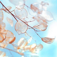 真相揭露掌資管家不正規(guī)內(nèi)幕！揭露騙局真相本人親身經(jīng)歷告誡