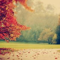 青松財經正規嗎？虧損慘重內幕大曝光！本人親身經歷揭露騙局！