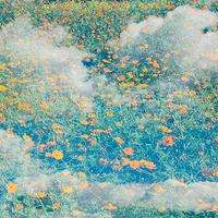 真相揭露環球新思維正規靠譜嗎？騙局揭秘坑我幾十萬!難友速來