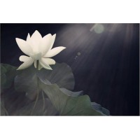 浙商國際虧損被騙爆倉騙局曝光，受害者真實經歷親述！