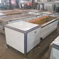 毛輥清洗機(jī) 豬蹄毛輥清洗機(jī) 根莖類(lèi)毛刷輥清洗設(shè)備