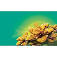 新聞包頭稀土虧損被騙平臺不正規(guī)，張劍龍頻繁喊單耗盡本金！