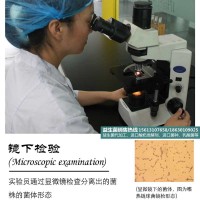 【酸菌OEM|一然生物】吉首|發(fā)酵劑牌子|優(yōu)質(zhì)供應(yīng)