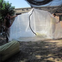 大廠家供應螞蚱網加厚全新料螞蚱養殖網結實耐用