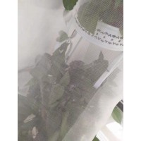 大棚防蟲紗網加厚全新料蔬菜防蟲網規格齊全