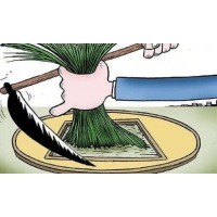 牛立方虧的凄慘無比自述虧損被騙內幕!!