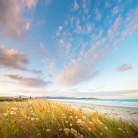 真相曝光牛資管不正規(guī)！被騙損失幾十萬(wàn)無(wú)法出金黑幕講述