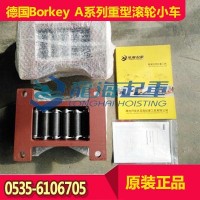 A-40噸進口A系列重型滾輪小車 可定制帶導輥滾輪小車