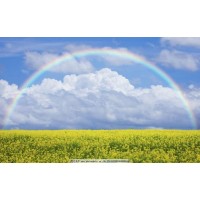 揭穿多陽(yáng)網(wǎng)不正規(guī)！被騙虧損無(wú)法出金！揭露真相本人親歷