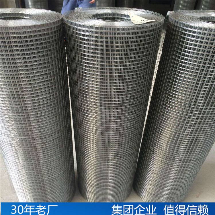 鐵絲網(wǎng)興來鋼結(jié)構(gòu)鍍鋅電焊鐵絲網(wǎng)廠家直銷