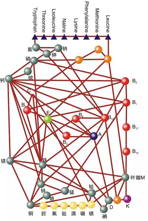20200218171116_39466.jpg 微信圖片_20200218171016.jpg