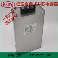 賽福廠家供應 自愈式低壓并聯(lián)電容器 電力電容器