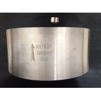 上海NH7K2F真空止回閥廠家-迦百農(nóng)閥門