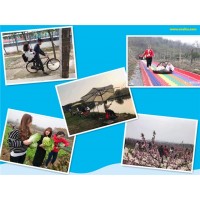 值的夸的武漢團建一日游景區，做拓展員工玩了直點頭