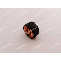 環形電感/環形線圈電感/環形共模電感/電感生產廠家