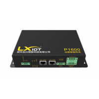 龍興物聯(lián)邊緣計(jì)算網(wǎng)關(guān) P1600